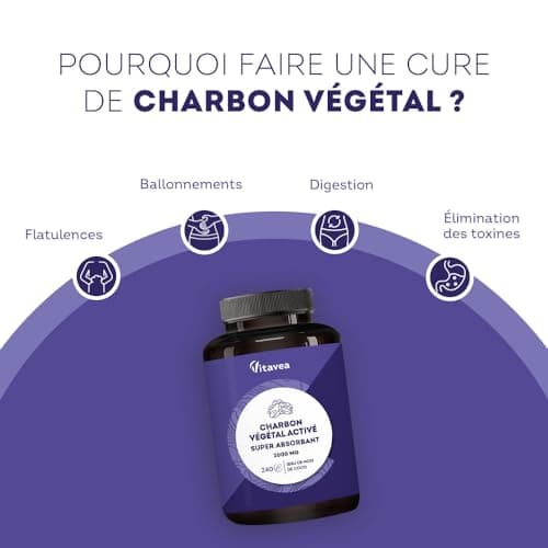 Charbon Actif Végétal Super Absorbant Vitavea 2000 mg - 240 Gélules - Naturellement Issu de Noix de Coco - Pour un Mois