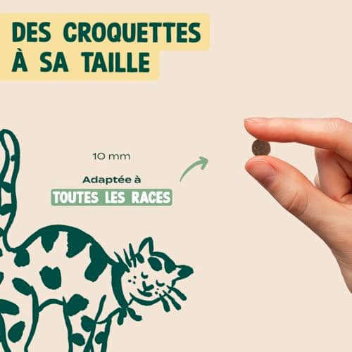 Franklin - Croquettes pour Chat Stérilisé Peau et Pelage - 70% Saumon - Sans Céréales - Hypoallergénique - 1 kg