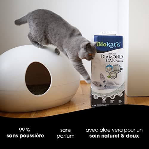 Biokat's Diamond Care Classic - Litière fine pour chats sans parfum au charbon actif et à l'Aloe vera - 1 sac (1 à 10 l)