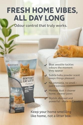 Litière à chats Flamingo, parfum talc bébé, 12kg pour 10 semaines, origine Canada, neutralise odeurs désagréables, douce