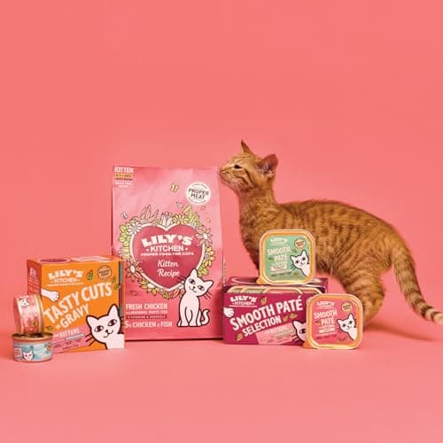 Pâté lisse Lily's Kitchen pour chaton : Poulet + bœuf (19 x 85g) - Alimentation pour chaton - Moelleux et nutritif - For
