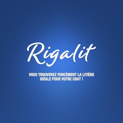 RIGA Rigalit Cristal Classic Litière pour Chat Gel De Silice Origine Minérale Absorbante Odeurs Bactéries Durée 1 Mois 1