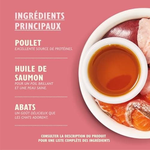 Pâté lisse Lily's Kitchen pour chaton : Poulet + bœuf (19 x 85g) - Alimentation pour chaton - Moelleux et nutritif - For