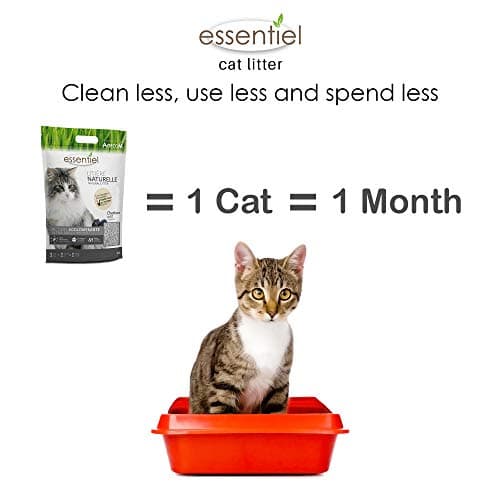 Litière naturelle agglomérante soja charbon pour chat 6L à basse odeur
| Litière naturelle agglomérante soja charbon po