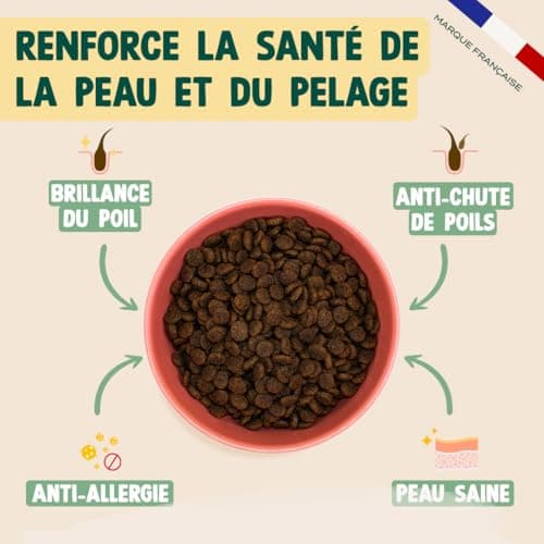 Franklin - Croquettes pour Chat Stérilisé Peau et Pelage - 70% Saumon - Sans Céréales - Hypoallergénique - 1 kg