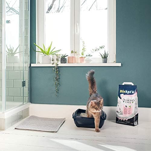 Biokat’s Diamond Care Fresh Litière pour chats - Parfumé - Haute qualité avec charbon actif et Aloe vera - 1 sac de 8 l
