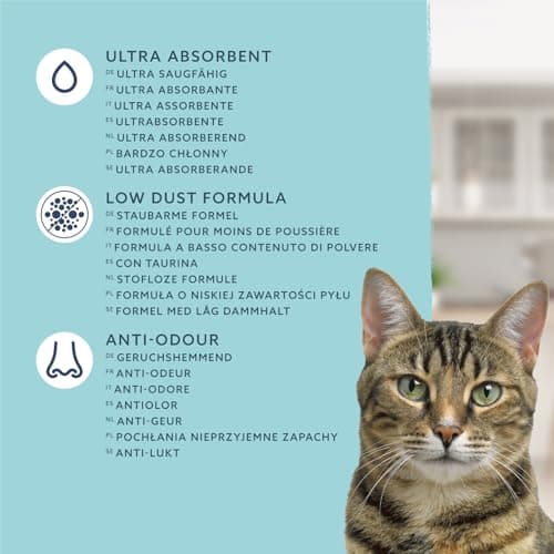 Litière Agglomérante Ultra Blanche pour Chat à Domicile 10 L - 100% Naturelle et Hypoallergénique