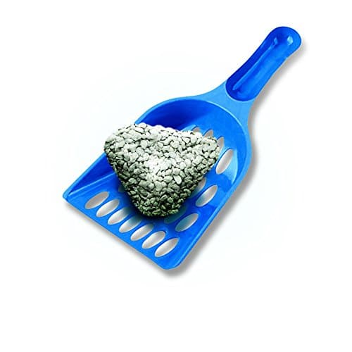 <think>
Okay, I need to create a French product title for the Gimborn Biokat's Classic cat litter following the given fo