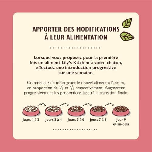 Pâté lisse Lily's Kitchen pour chaton : Poulet + bœuf (19 x 85g) - Alimentation pour chaton - Moelleux et nutritif - For