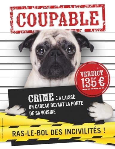 Sac XXL Caca Pour Chien | Haute Résistance | Déjections Canines | Sachets Individuels 100 Sacs à Crottes | Evasione | Re
