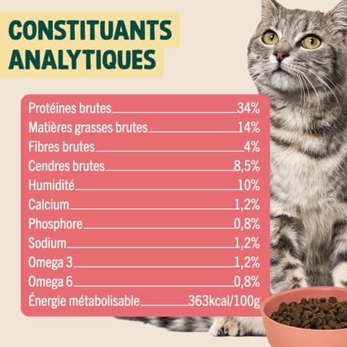 Franklin - Croquettes pour Chat Stérilisé Peau et Pelage - 70% Saumon - Sans Céréales - Hypoallergénique - 1 kg