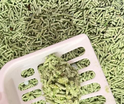 HS Petcare Lot de 3 litières pour chat au thé vert/matcha -Bio - Contrôle des odeurs - Réduit les déchets - Jetables