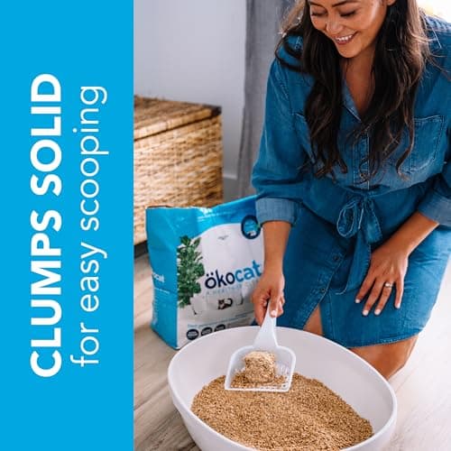 ÖKOCAT Litière en Bois Naturel pour Chat, Clumping, 6 kg, Litière sans Parfum, Bio, 6 kg