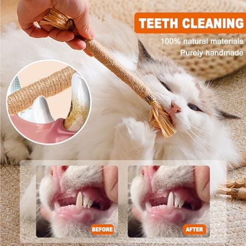 PetGens Herbe à Chat Jouet, Pour Chat Jouets à Mâchoires Matatabi, Idéal pour les Chatons et Adultes, Intérieur, HerbeOd