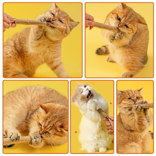 PetGens Herbe à Chat Jouet, Pour Chat Jouets à Mâchoires Matatabi, Idéal pour les Chatons et Adultes, Intérieur, HerbeOd