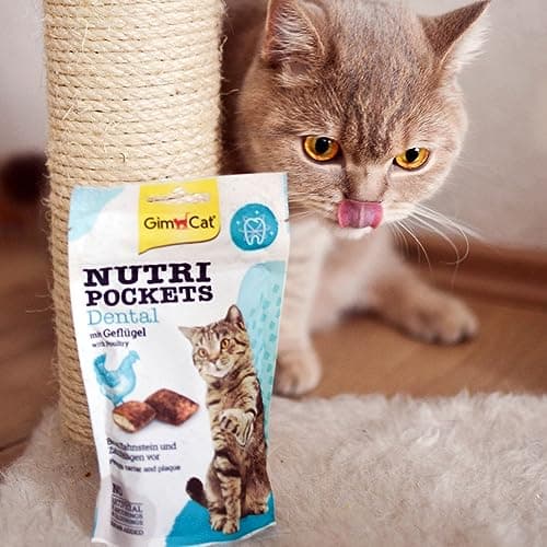 GimCat Nutri Pockets Dental Snacks Croquants pour Chats | Farce Crémeuse & Ingrédients Functionnels | 1 Sachet (1-60g)