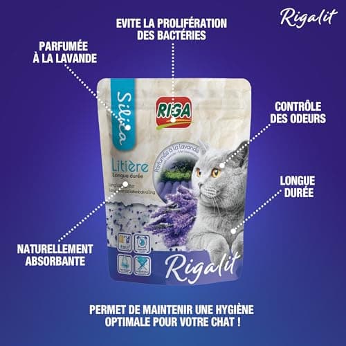Rigalit Lavande Litière pour Chat Naturelle à Base de Silice Minérale - Neutralise Odeurs et Bactéries - Durée 1 Mois -