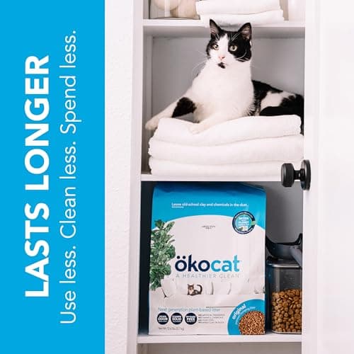 ÖKOCAT Litière en Bois Naturel pour Chat, Clumping, 6 kg, Litière sans Parfum, Bio, 6 kg