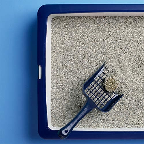 CATSAN Litière minérale agglomérante pour chat pratique et odorante, 3 sacs de 5L