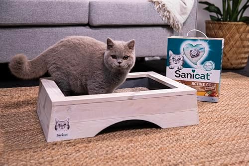 <think>
Okay, the user is asking me to modify a product title for a Sanicat litter in French. Let me start by understand