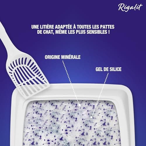 Rigalit Lavande Litière pour Chat Naturelle à Base de Silice Minérale - Neutralise Odeurs et Bactéries - Durée 1 Mois -