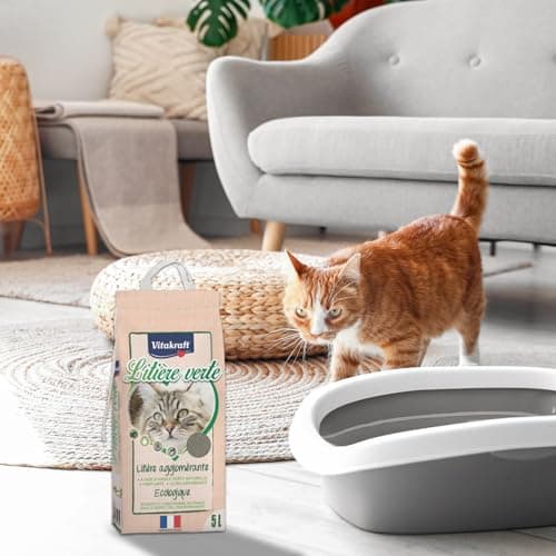 VITAKRAFT Litière Verte Écologique Compostable Anti-Odeur Pour Chat - Ultra-Absorbante - Purifiante - 5 Litres