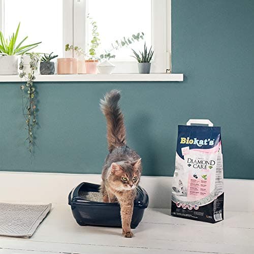 Biokat’s Diamond Care Fresh Litière pour chats - Parfumé - Haute qualité avec charbon actif et Aloe vera - 1 sac de 8 l