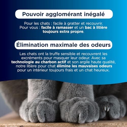 Litière Agglomérante Naturelle à 99,9% Pur, Écologique et Sécurisée pour Chats - Parfaite pour les Ménages Allergiques,