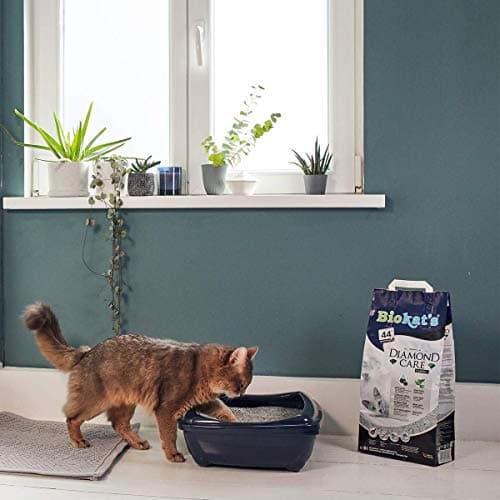 Biokat's Diamond Care Classic - Litière agglomérante de haute qualité pour chats - Charbon actif et Aloe vera - 1 sac en