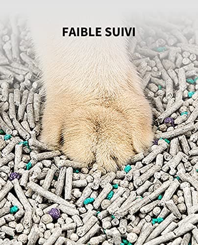 Litière Tofu PETKIT 5 en 1 sans Odeur, Charbon Actif, Ultra Absorbante et Séchage Rapide (Quatre Sacs)