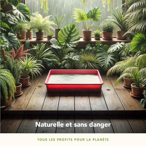 Almo nature - Litière pour chat naturelle --chatons et chats adults- toilettes intérieures--absorbante et sans allergène