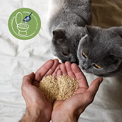 Biokat's Natural Care Naturel 8 LTR + Vitamines et Minéraux + Famille Active + Sport + Formule Hypoallergénique + 8000 M
