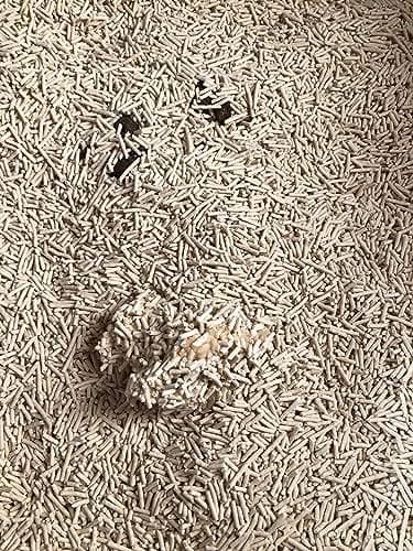 HS Petcare Litière Agglomérante Biologique Naturelle pour Chat - Contrôle des Odeurs Agglomérantes - Sans Poussière