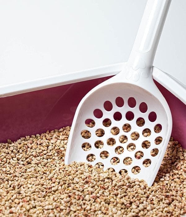 **TRANQUILLE Litière végétale écologique agglomérante 4 L - Pack de 4 pour chats**
