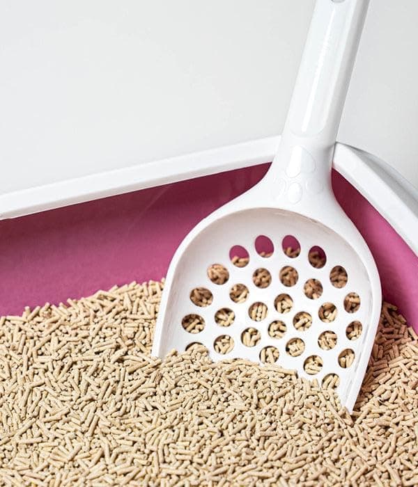 TRANQUILLE - Litière végétale vegane pour chat au tofu recyclé 4 litres - Lot de 8 + attributs: écologique et Hygiéniqu